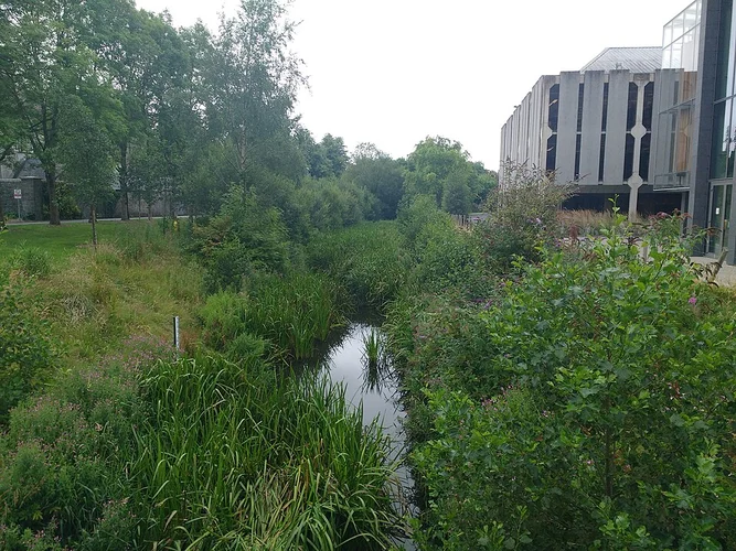 Maynooth University Campus