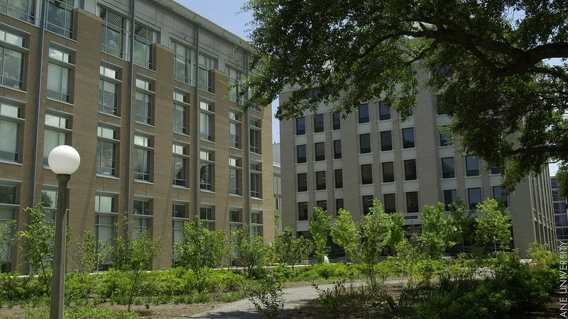 (Shorelight) Louisiana State University Campus