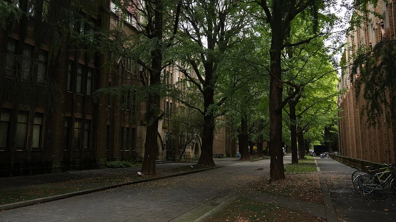 University of Law (All Campuses) Campus